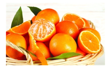 含糖分物質(zhì)