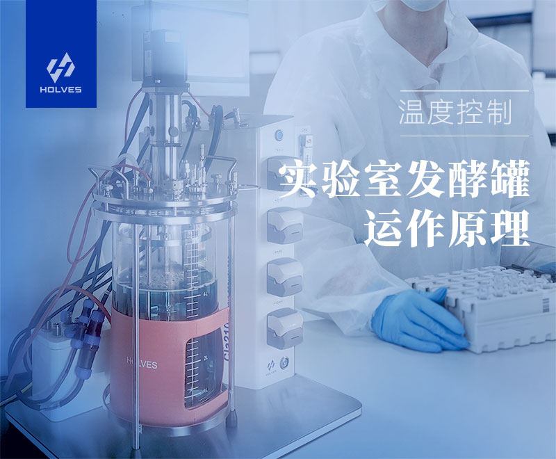 實驗室發(fā)酵罐 實驗室發(fā)酵罐運作原理之溫度控制