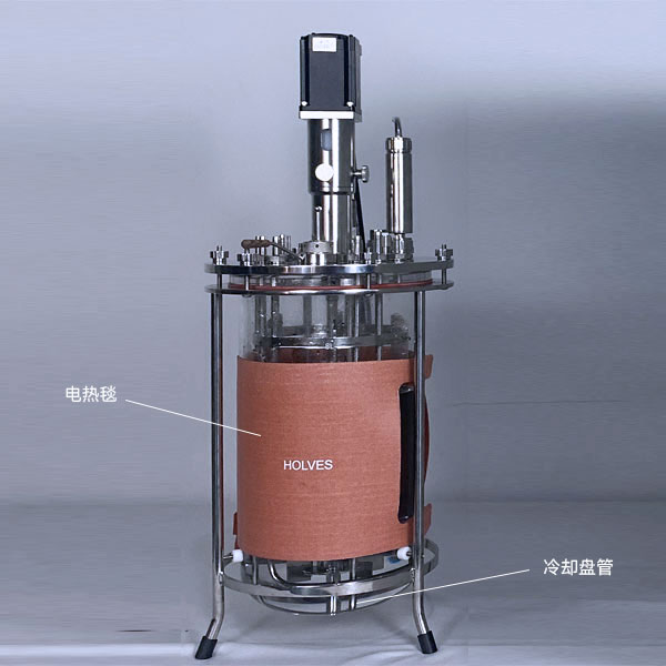 霍爾斯(HOLVES)實驗發(fā)酵罐 霍爾斯(HOLVES)實驗發(fā)酵罐