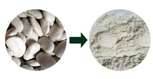 陶瓷膜過(guò)濾在蕓豆提取物中的運(yùn)用 陶瓷膜過(guò)濾在蕓豆提取物中的運(yùn)用